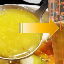 Comment clarifier un bouillon par filtration à l'agar-agar